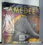 Amédée vignette