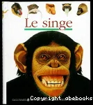 Le singe vignette